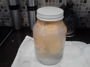Day One of the Preserved Lemon Project